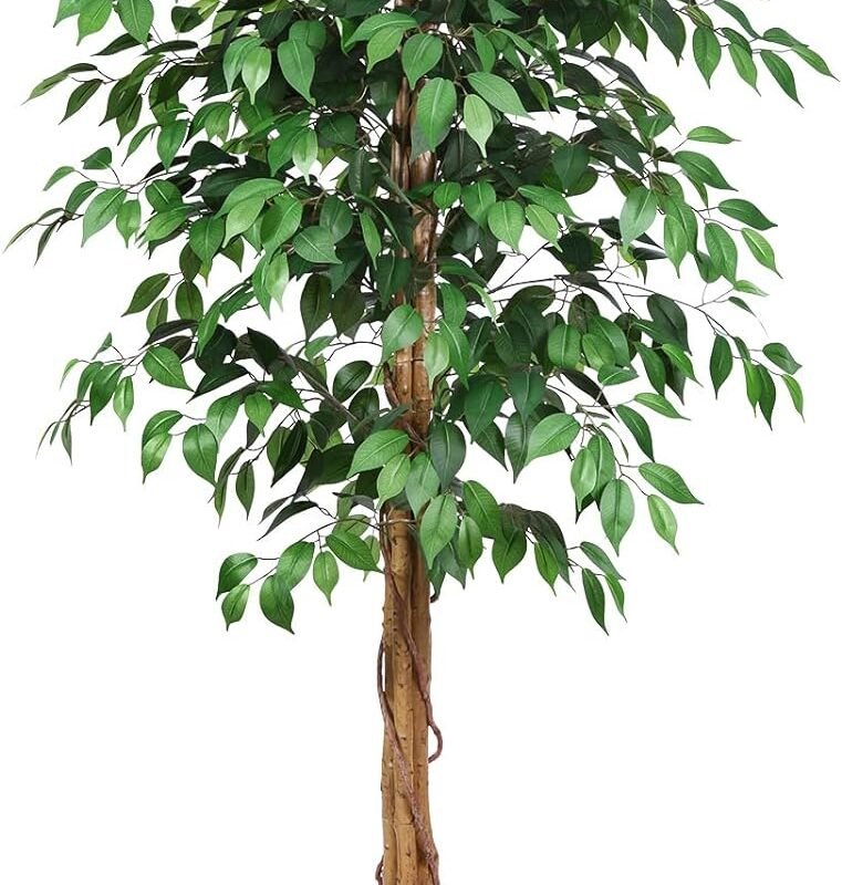 6ft Ficus Artificial Trees with Realistic Leaves and Trunk, Silk Fake Ficus Tree with Plastic Nursery Pot, Faux Ficus Tree for Office Home Farmhouse for Indoor Outdoor Decor(Set of 1)
