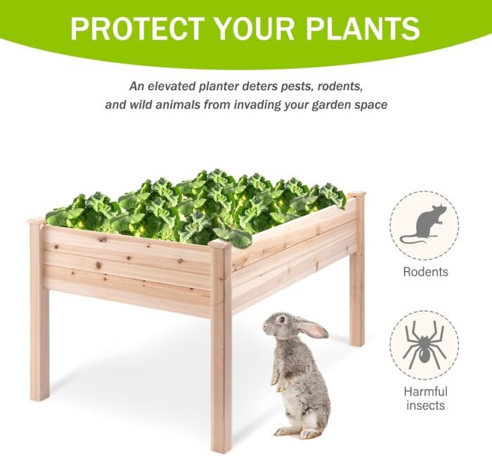 Backyard Expressions 48"x34" Raised Garden Bed - Elevated Wood Planter Box for Healthy Plant Growth, 440 lb Capacity - Natural Color - Image 3