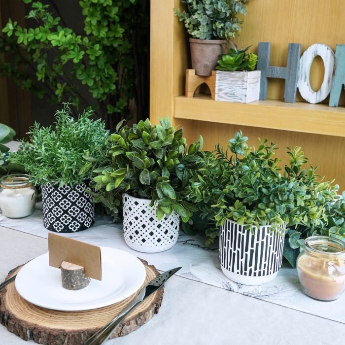 Winlyn 3-Pack Artificial Potted Plants - Faux Eucalyptus, Rosemary, Boxwood Greenery in Small Black & White Geometric Concrete Pots -Desk, Table, Shelf, Windowsill Decor for Indoor Outdoor Home Office - Image 6