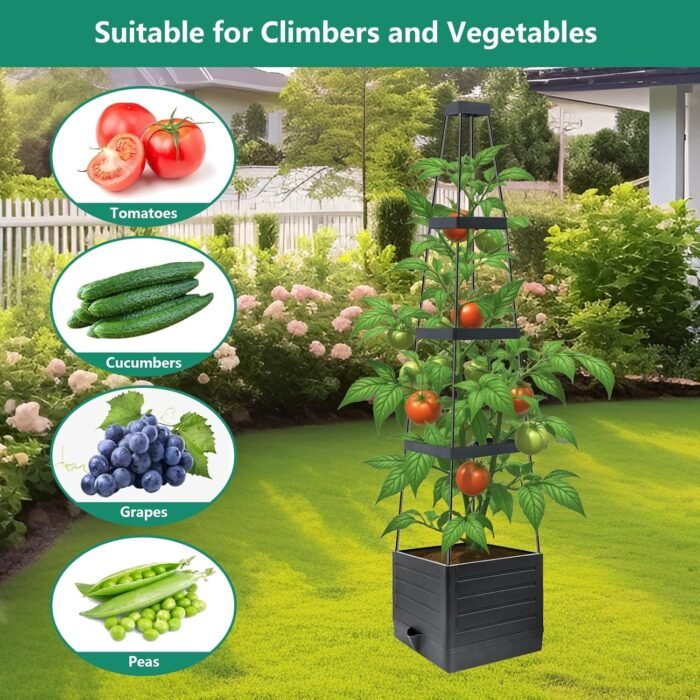 2 Pack Raised Garden Bed Planter Box with Trellis, 58”Tomato Planter with Trellis for Climbing Plants Vegetables Vine Flowers, Self-Watering Tomato Cage for Garden Patio Outdoor & Indoor - Image 6