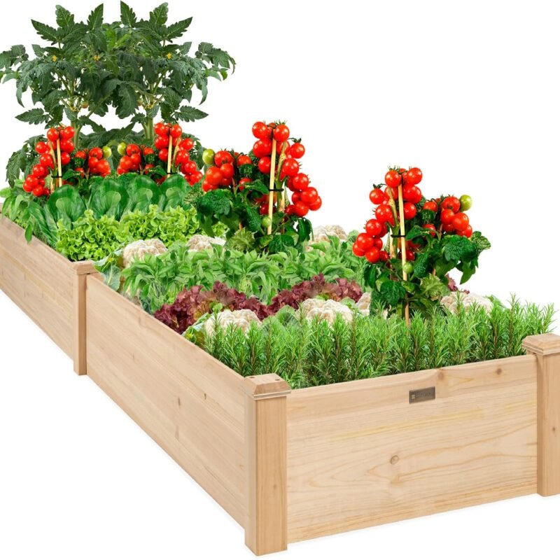Best Choice Products 8x2ft Outdoor Wooden Raised Garden Bed Planter for Vegetables, Grass, Lawn, Yard - Natural