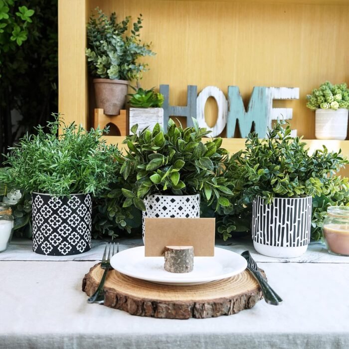 Winlyn 3-Pack Artificial Potted Plants - Faux Eucalyptus, Rosemary, Boxwood Greenery in Small Black & White Geometric Concrete Pots -Desk, Table, Shelf, Windowsill Decor for Indoor Outdoor Home Office - Image 5