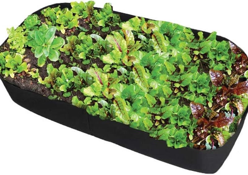 Fabric Raised Garden Bed, 2ft x 4ft Garden Grow Bags Planting Bed Rectangle Garden Containers for Vegetables Plants Flowers Outdoor