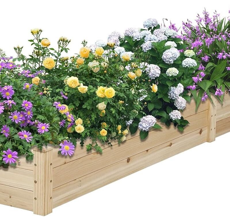Oakcloud Outdoor 8ft Wooden Raised Garden Bed Planter Box Kit and 4 Garden Bed Fences for Vegetables Fruits Herb Grow Gardening