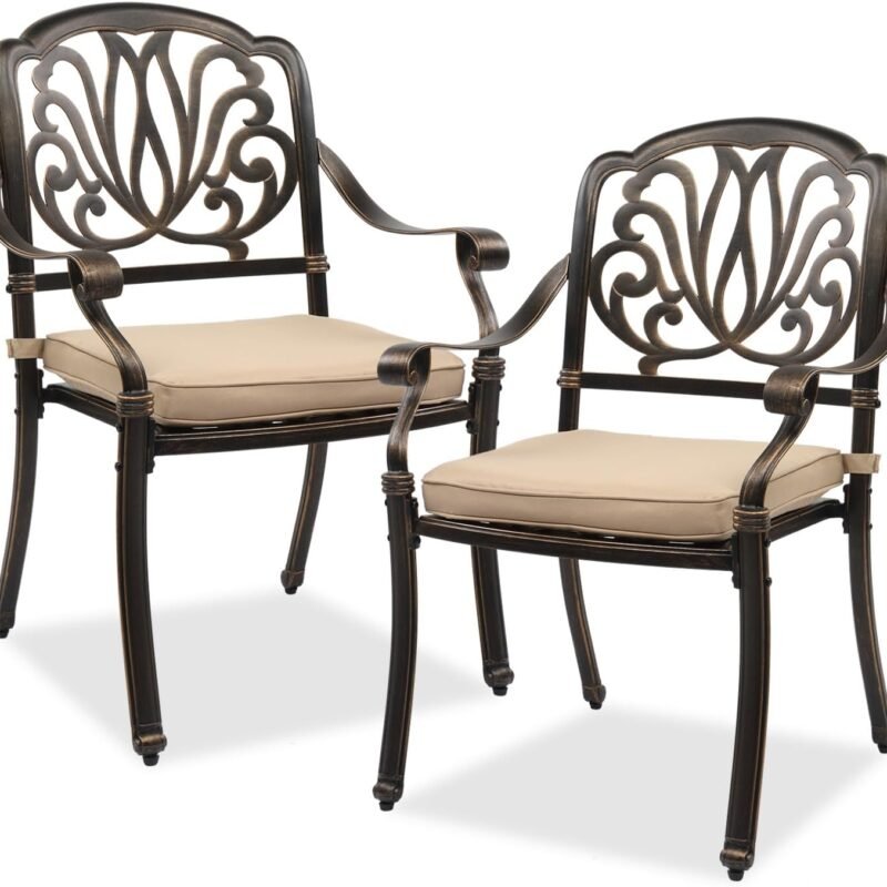 VINGLI Outdoor Dining Chairs Set of 2 Aluminum Patio Chairs, Cast Aluminum Patio Furniture Aluminum Outdoor Chairs for Backyard, Poolside, Balcony Bronze (with Cushion)