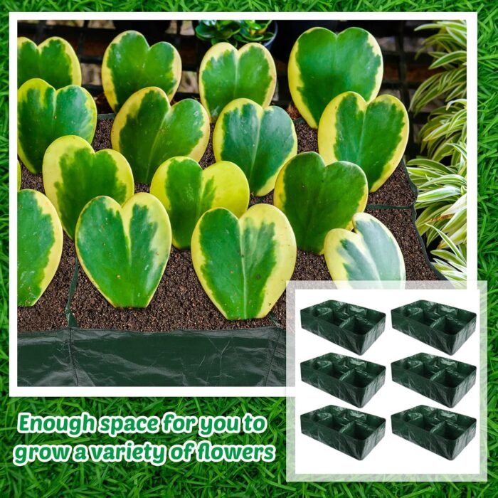 6 Pack 35 Gallon Raised Garden Beds Rectangle Garden Planting Bed with 6 Divided Grids Drainage Holes 4 Pcs White Gloves Warehouse Gloves for Vegetables Flowers Tomatoes Herb (Polypropylene, Cotton) - Image 6