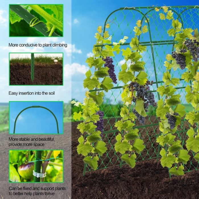 65"×65" Upgrade Heightened Cucumber Trellis for Raised Bed,U-Shape Garden Trellis for Climbing Plants Outdoor,Adjustable Metal Arch Vegetables Trellis with Climbing Net for Tomato,Bean,Grape,Zucchini - Image 4