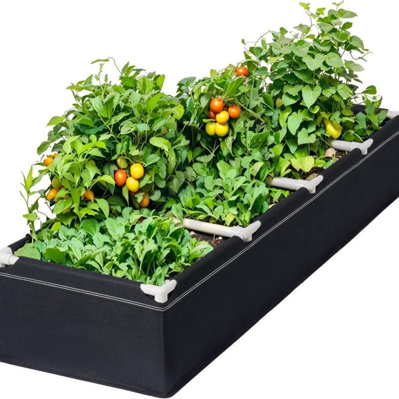 HIRALIY Fabric Raised Beds,Elevated Raised Garden Grows Beds for Outdoor Gardening,Portable Garden Planters,Planter Box for Growing Flowers and Vegetables（6.2 x 1.62 x 1 Ft）