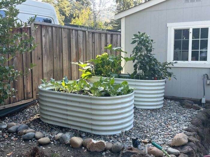 A ANLEOLIFE 6X3X2 ft Galvanized Raised Garden Beds Outdoor-8 Pack, Oval Large Metal Deep Root Planter Box for Planting Vegetables Flowers Herb, Anti-Rust & Easy-Setup, Antique White - Image 2