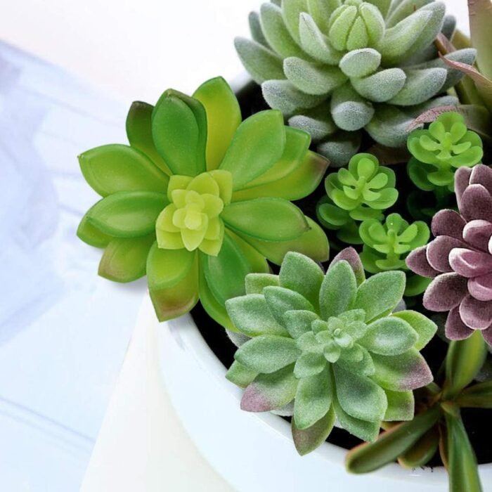 Anoak Artificial Succulent Plants - 16 Pcs Set Faux Succulents Unpotted Fake Succulent Plants, Premium Crafting DIY Floral Decor for Home Garden Office Party (High Realistic) - Image 4