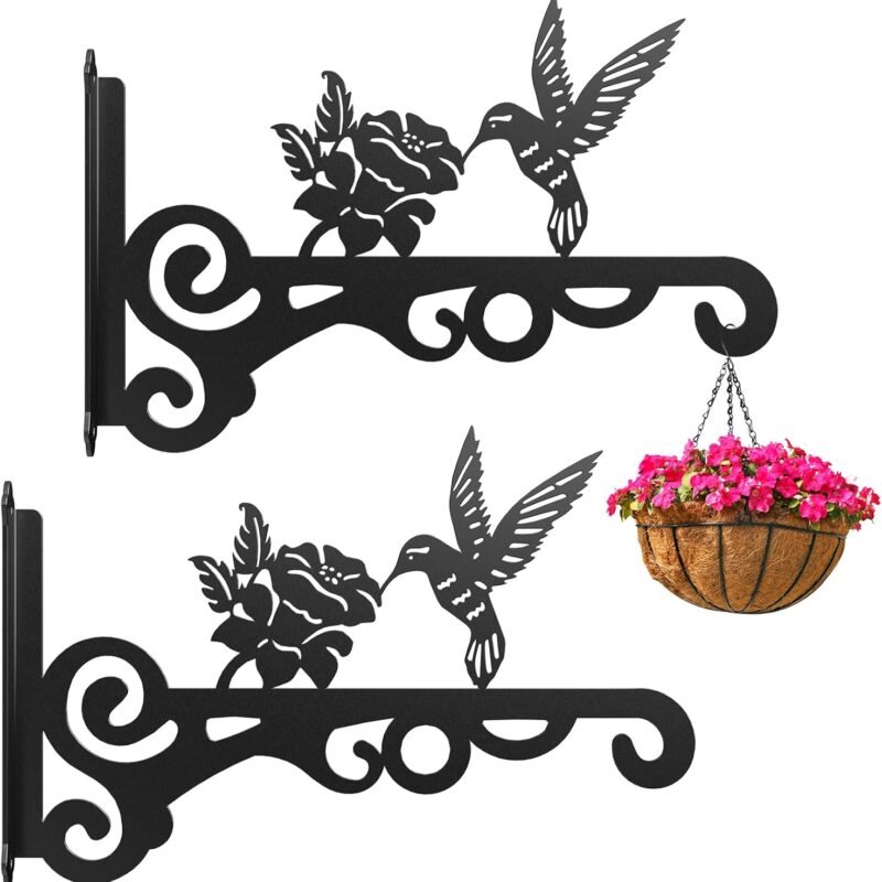 2-Pack Aesthetic Wall Plant Hanger Indoor and Outdoor – 10 Inch Metal Hanging Plant Bracket with Beautiful Bird Pattern – Anti Rust Plant Hooks for Hanging Plants, Bird Feeder, Wind Chime, Lantern