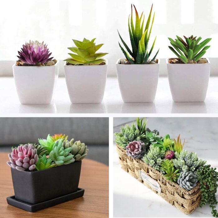 Anoak Artificial Succulent Plants - 16 Pcs Set Faux Succulents Unpotted Fake Succulent Plants, Premium Crafting DIY Floral Decor for Home Garden Office Party (High Realistic) - Image 3