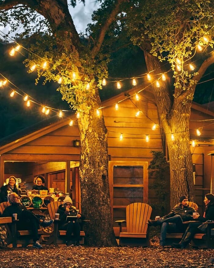 Doukegde 100FT LED Outdoor String Lights, 2700K LED Patio Lights Outdoor Waterproof with 50+2 Shatterproof Vintage Bulbs, Plug in Hanging Light for Porch, Backyard, Garden, Gazebo [Non-Solar] - Image 6