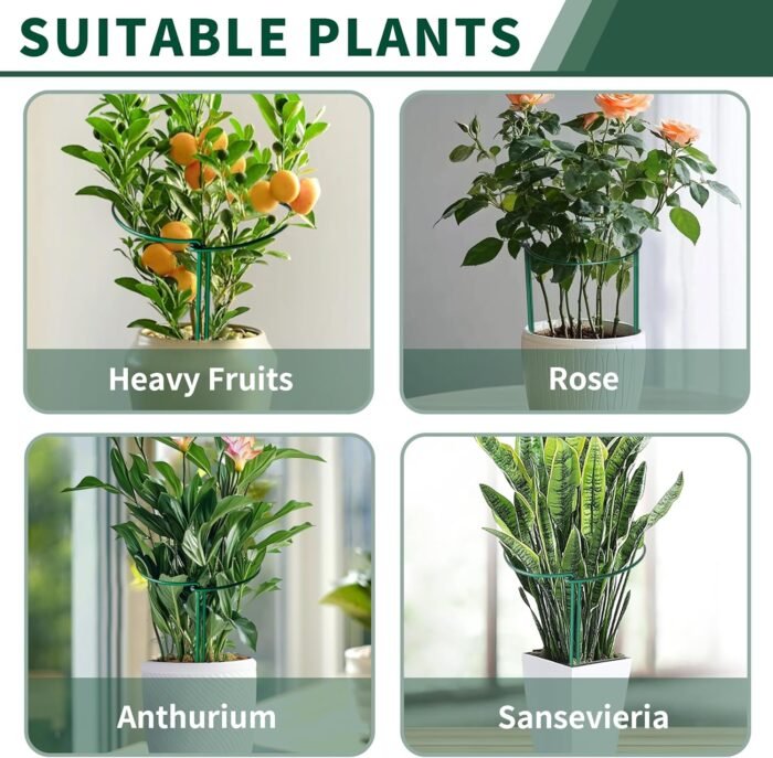 10 Pack Peony Cages and Supports, 10" (W) x 16"(H) Plant Support, Heavy-Duty Metal Plant Support Stakes, Plant Stakes for Outdoor & Indoor Plants, Perfect for Flowers and Vegetable - Image 5