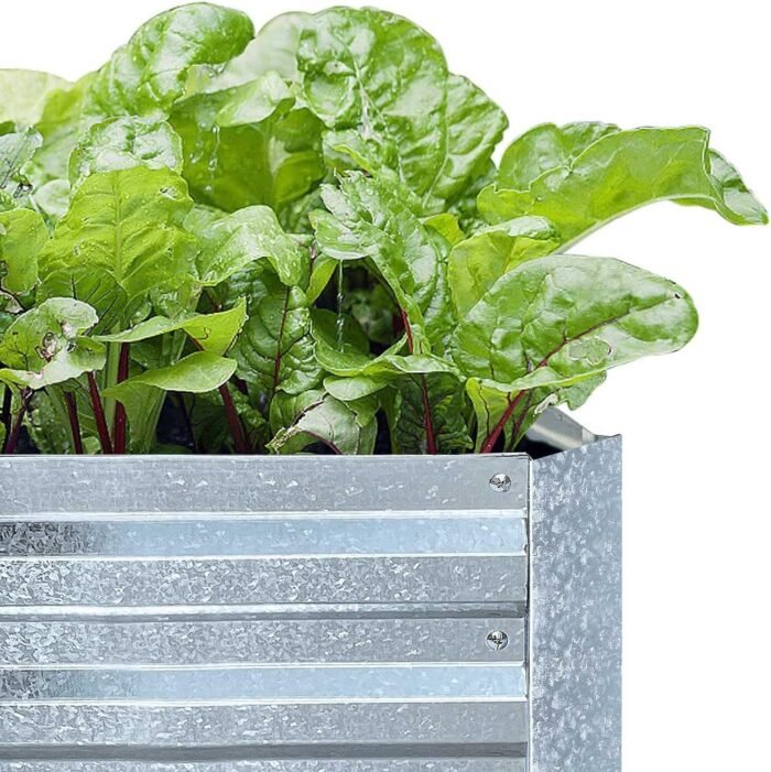 Galvanized Raised Garden Beds for Vegetables Large Metal Planter Box Steel Kit Flower Herb (8 x 4 x 1 ft * 2 Pack, Galvanized) - Image 5