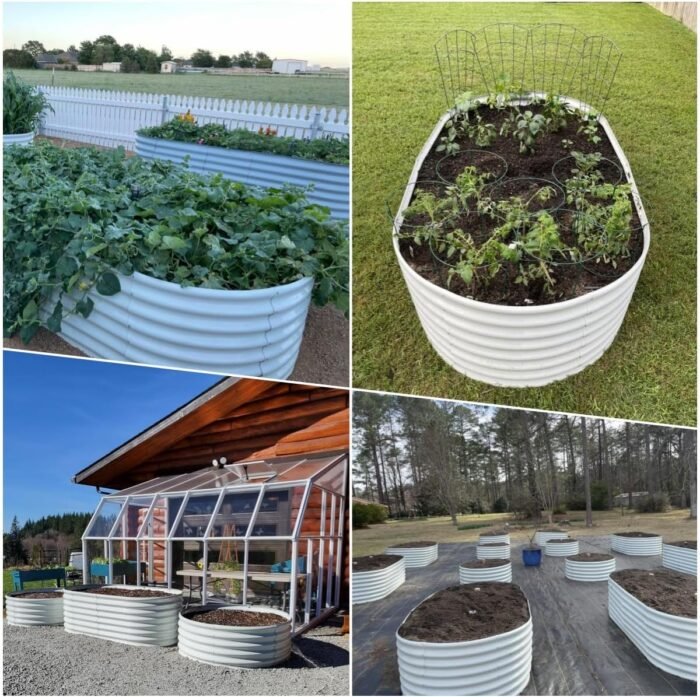 A ANLEOLIFE 6X3X2 ft Galvanized Raised Garden Beds Outdoor-8 Pack, Oval Large Metal Deep Root Planter Box for Planting Vegetables Flowers Herb, Anti-Rust & Easy-Setup, Antique White - Image 4
