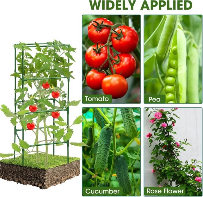 3 Pack Tomato Cages,Square Tomato Plant Stakes Support Cages Trellis for Garden Climbing Vegetables Flowers Fruits,Extra Bold - Image 6