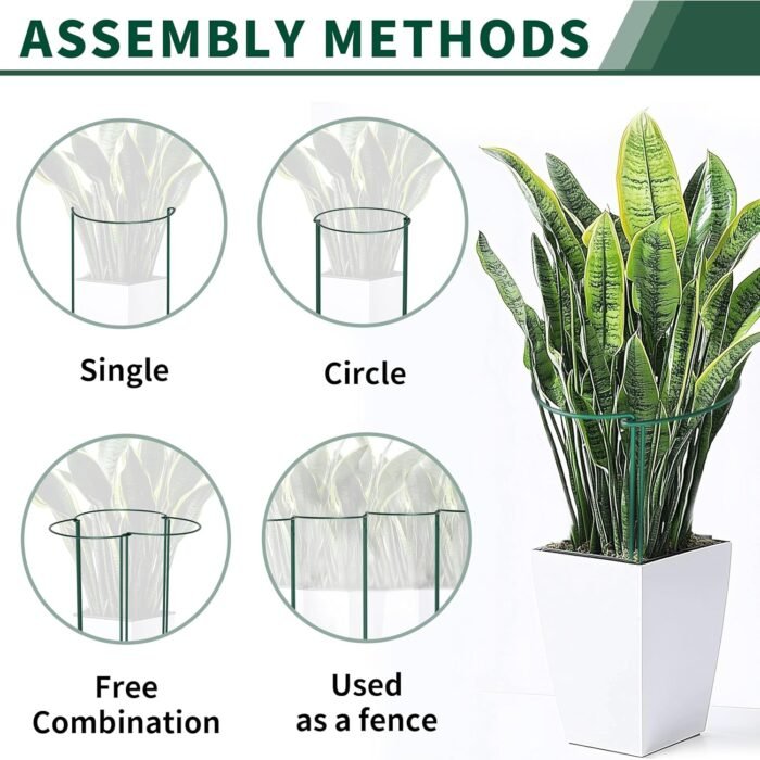 10 Pack Peony Cages and Supports, 10" (W) x 16"(H) Plant Support, Heavy-Duty Metal Plant Support Stakes, Plant Stakes for Outdoor & Indoor Plants, Perfect for Flowers and Vegetable - Image 4